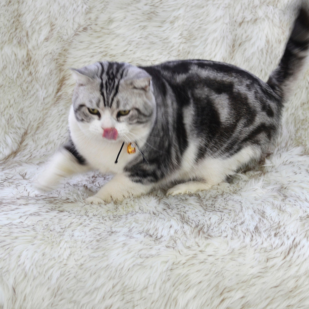 Multipurpose Faux Fur Throw Blanket