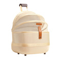 Lightweight and breathable fashion pet bag