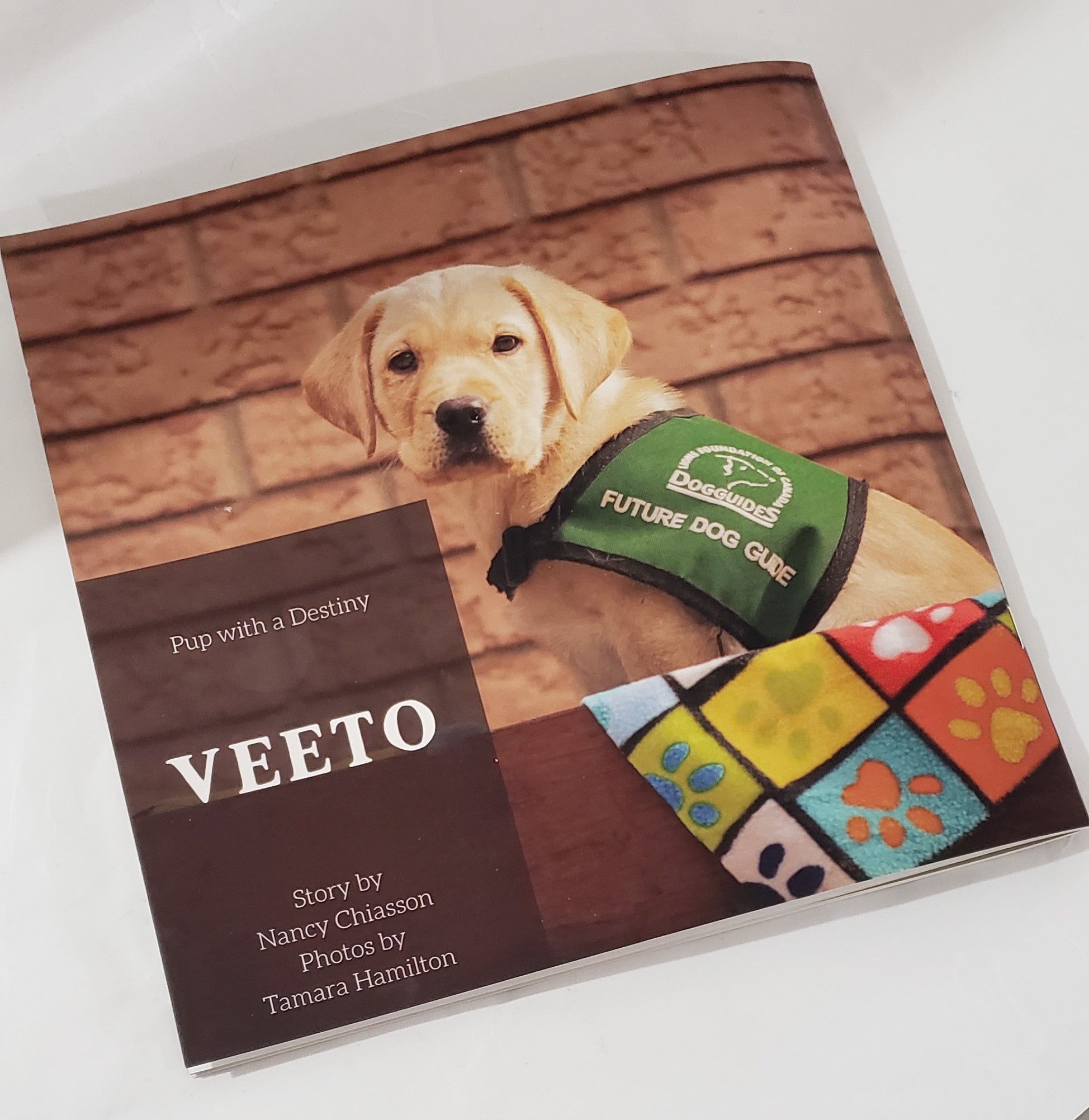 Dog Guide Fundraiser Children's Book "Veeto, Pup With A Destiny"