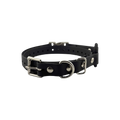 E-Collar Technologies 3/4″ Quick-Snap Bungee Collar Strap