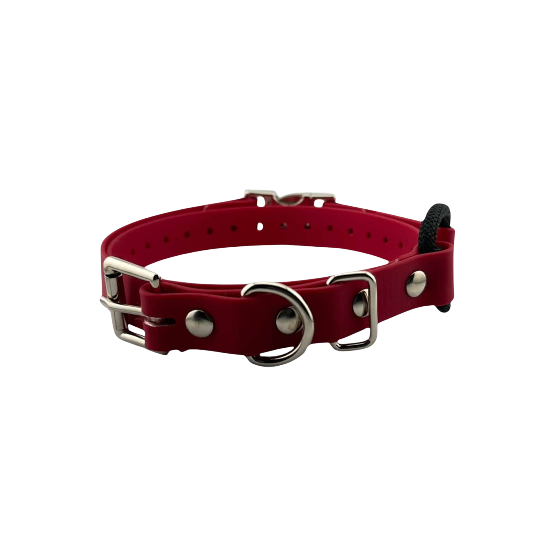 E-Collar Technologies 3/4″ Quick-Snap Bungee Collar Strap