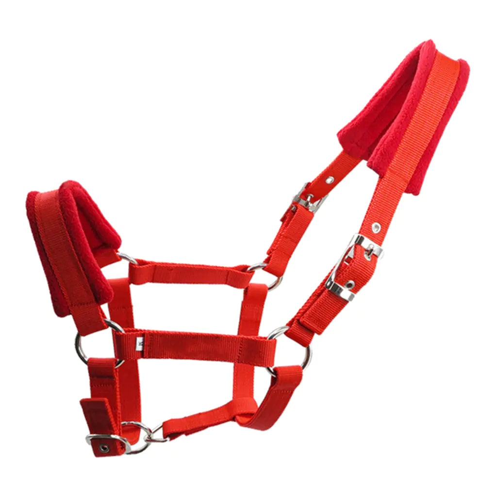 Deluxe Equine Headgear Protector