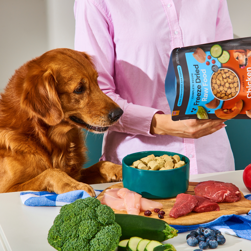 Freeze Dried Food - Beef 225g