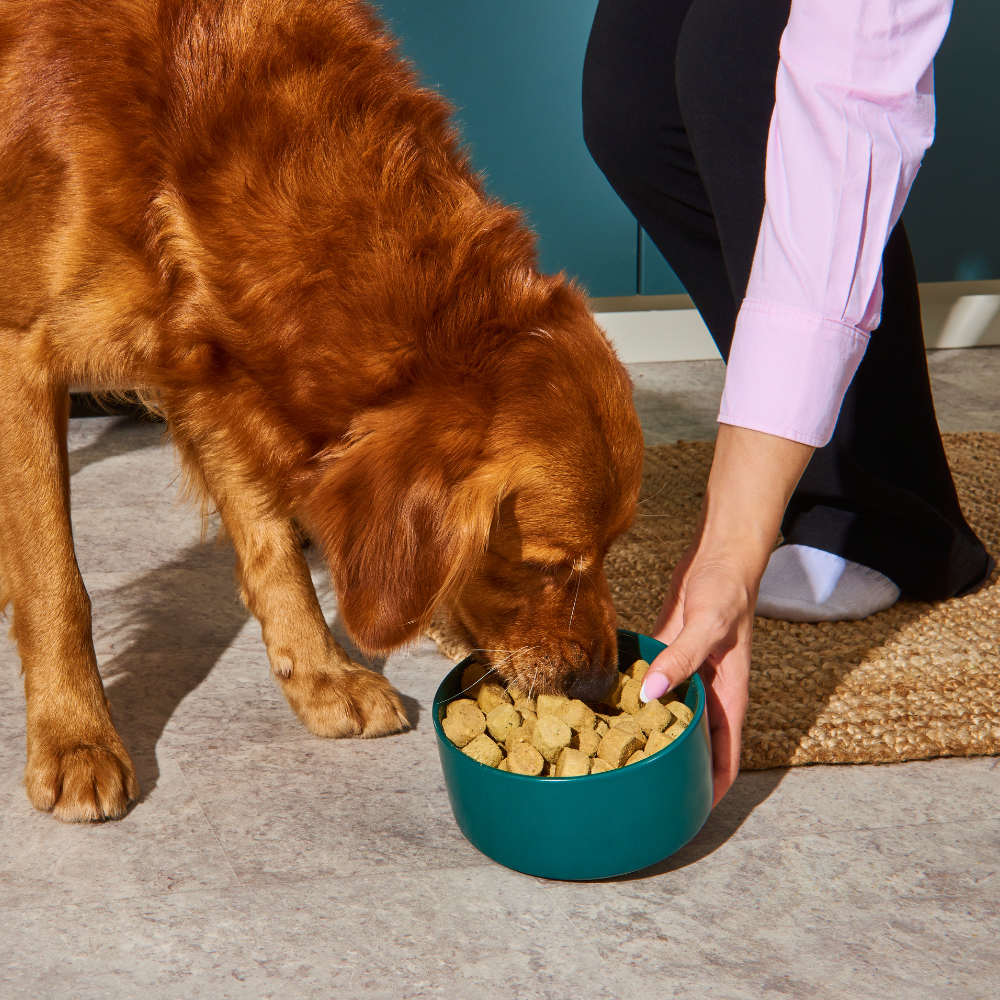 Freeze Dried Food - Chicken 225g
