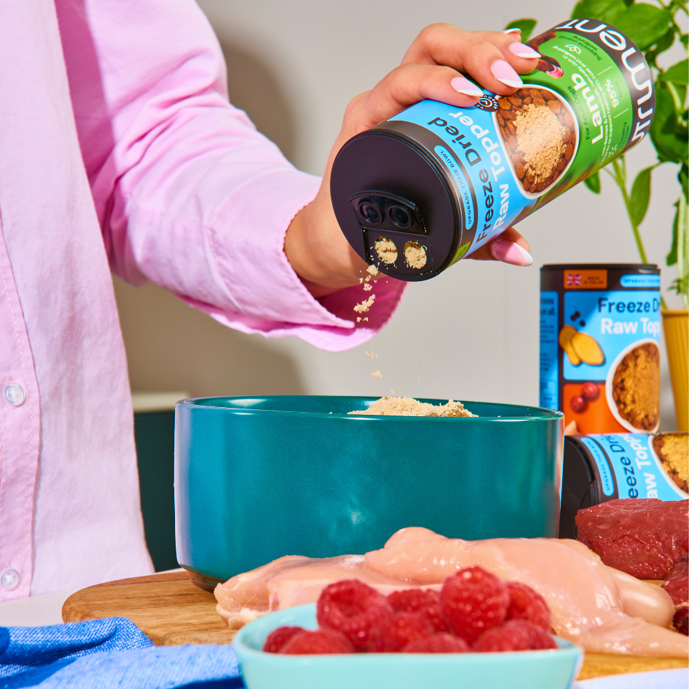Freeze Dried Topper - Chicken 50g