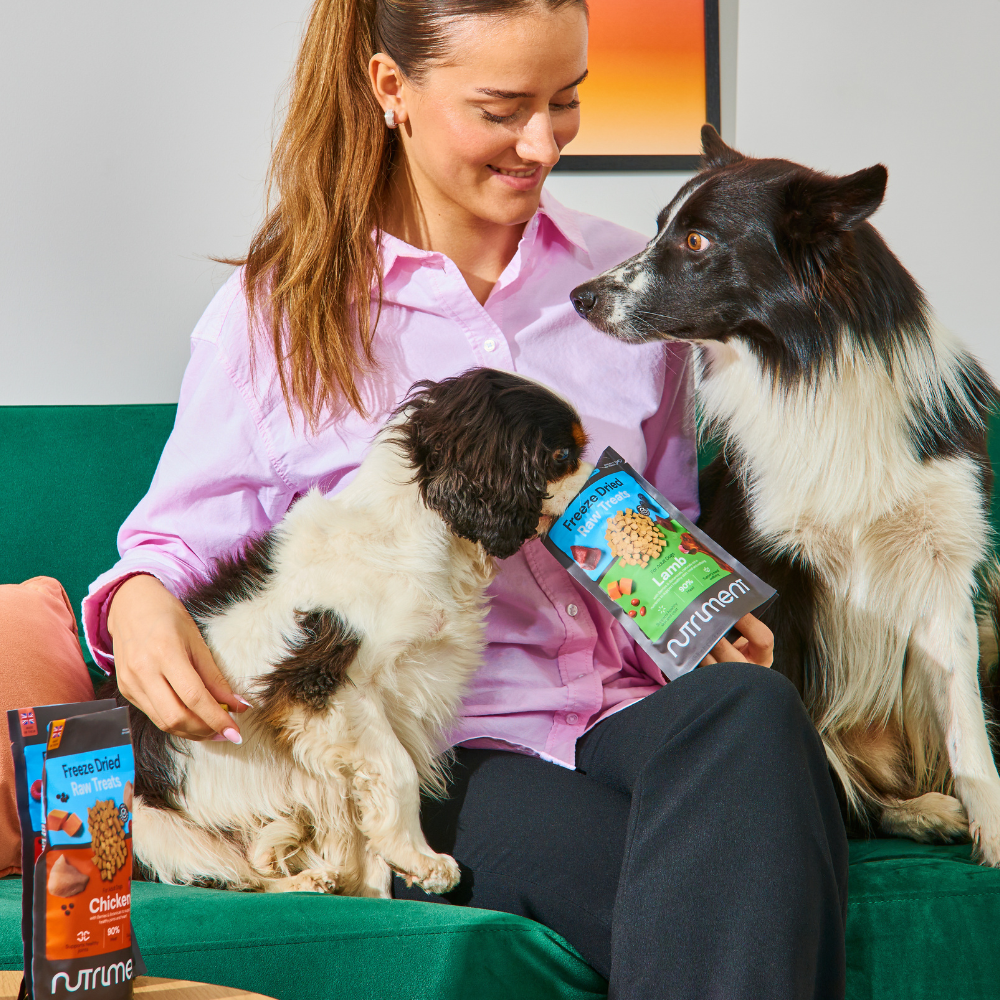Freeze Dried Treats - Chicken 30g