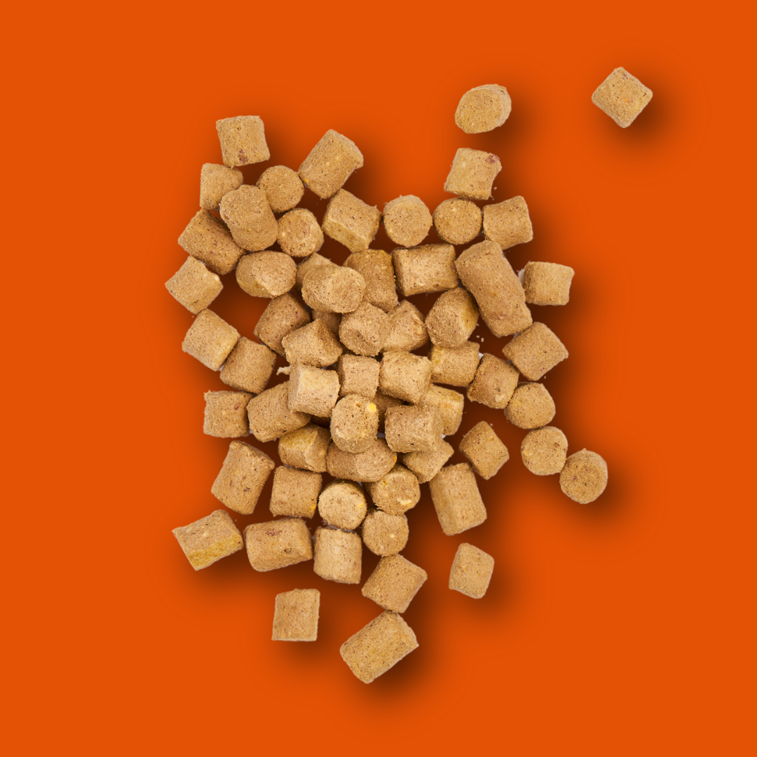 Freeze Dried Treats - Chicken 30g