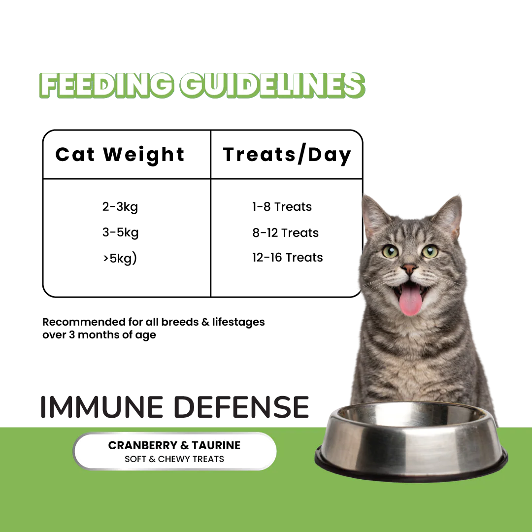 Fullr Soft & Chewy Cat Treats