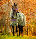Horseware® Amigo® Hero Ripstop Plus Turnout (0g Light)