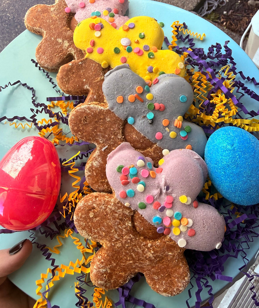 Assorted Spring Flower Dog Treat - Peanut Butter (Wholesale - 1 dozen)