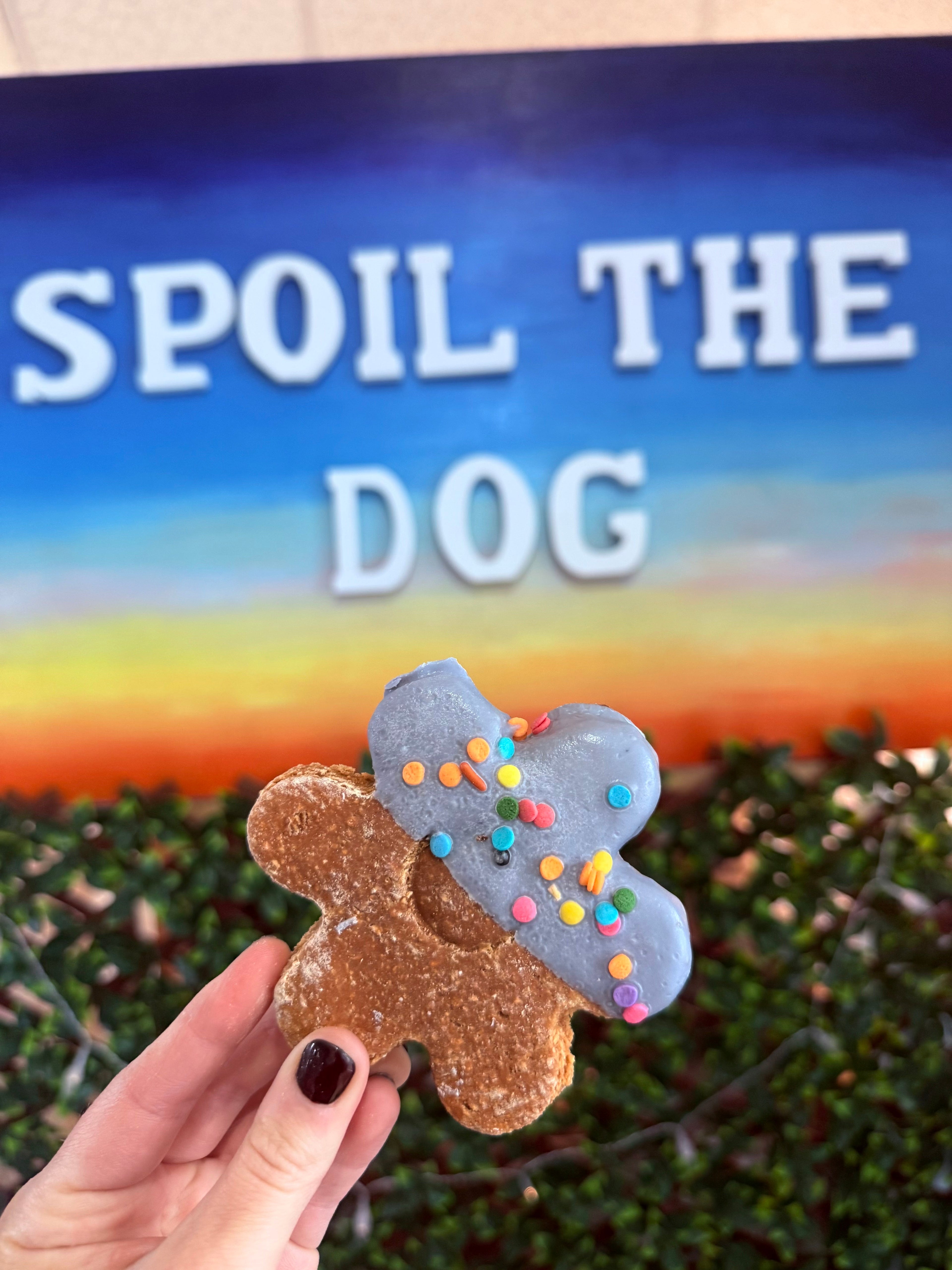 Assorted Spring Flower Dog Treat - Peanut Butter (Wholesale - 1 dozen)