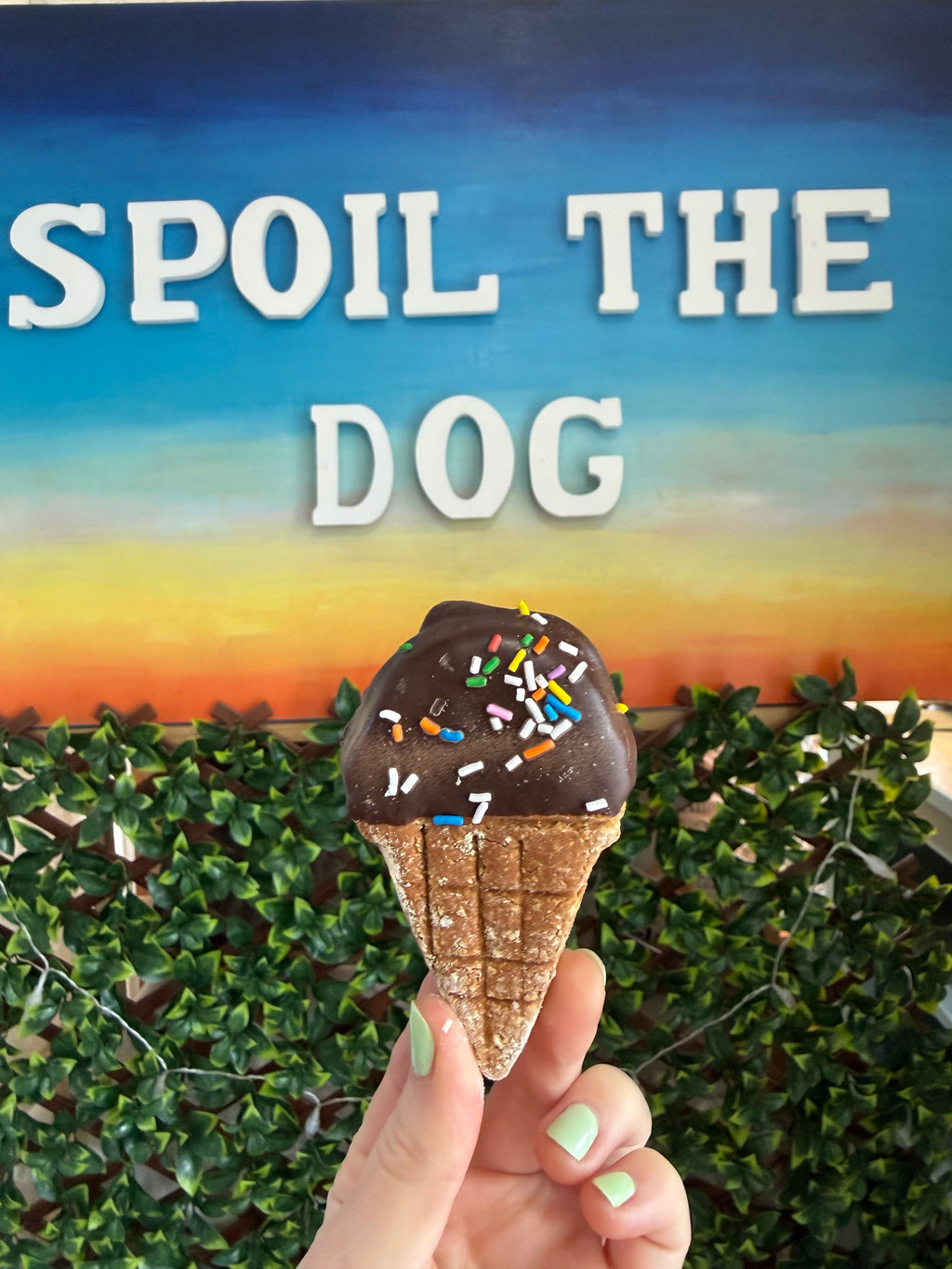 Assorted Dog Treat Peanut Butter Ice Cream Cones (Wholesale - 1 dozen)