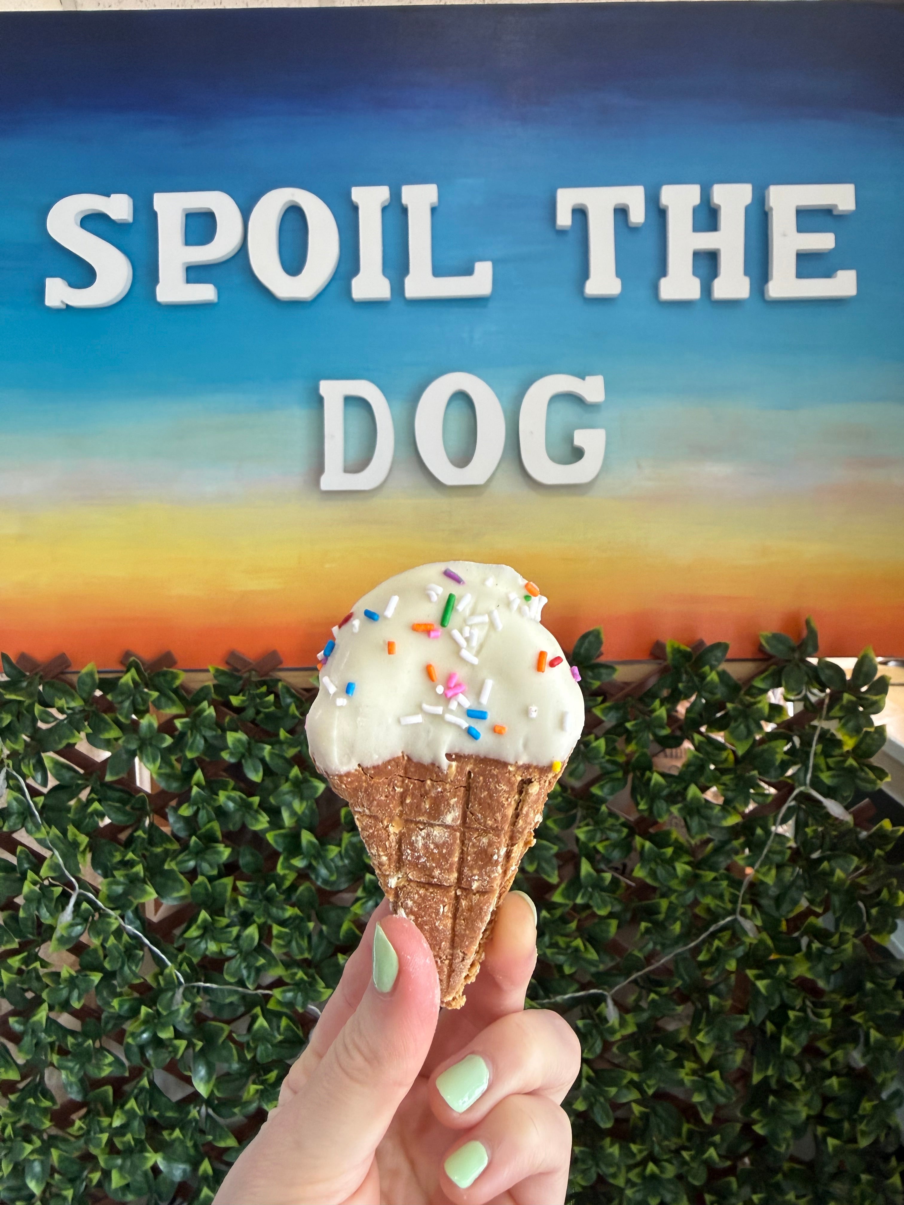 Assorted Dog Treat Peanut Butter Ice Cream Cones (Wholesale - 1 dozen)