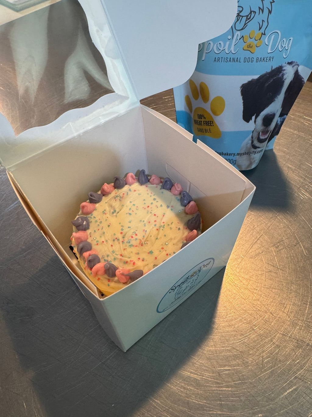 Gender Reveal Cake for Dogs