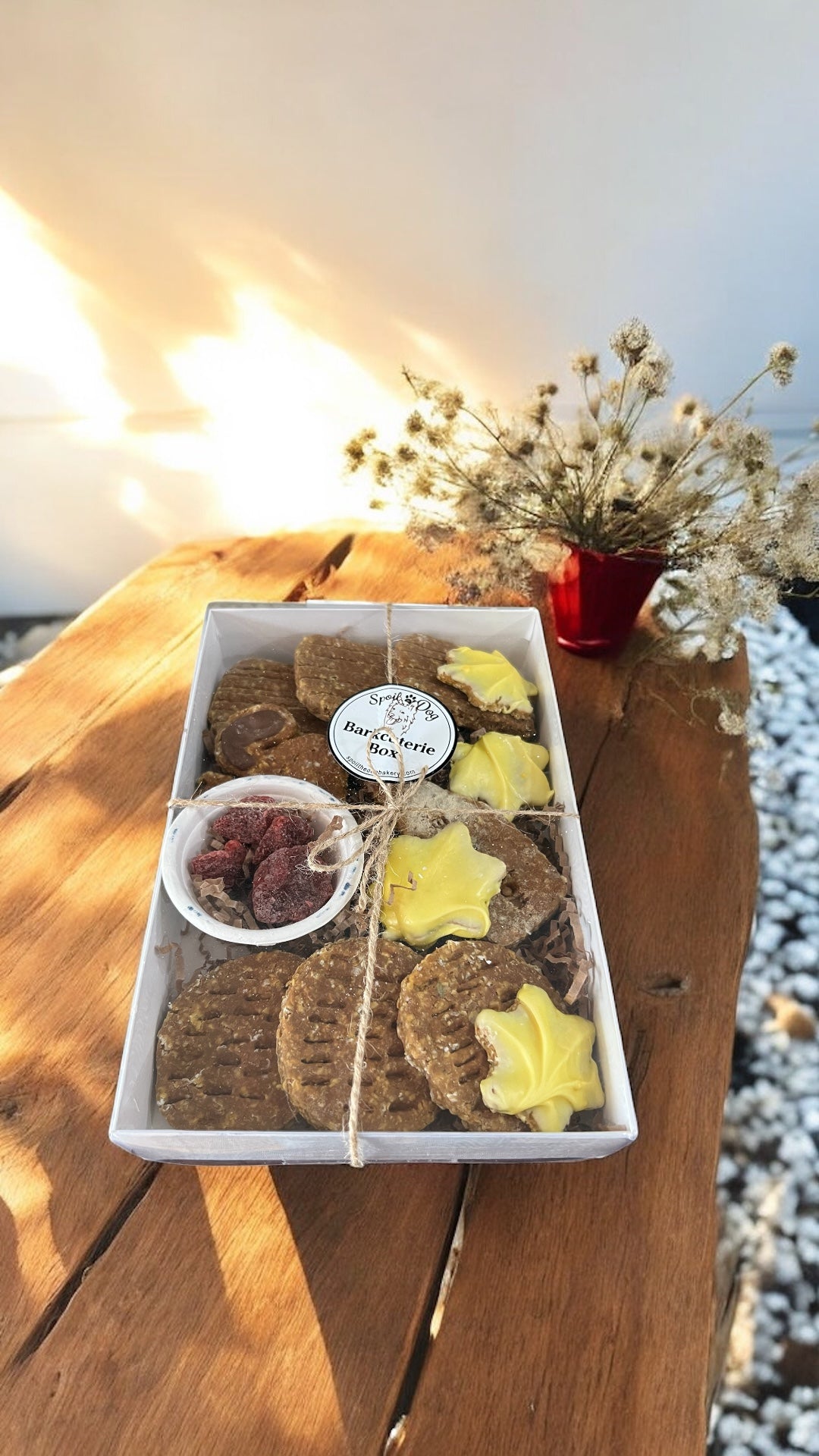 Dog Treat Barkcuterie Box