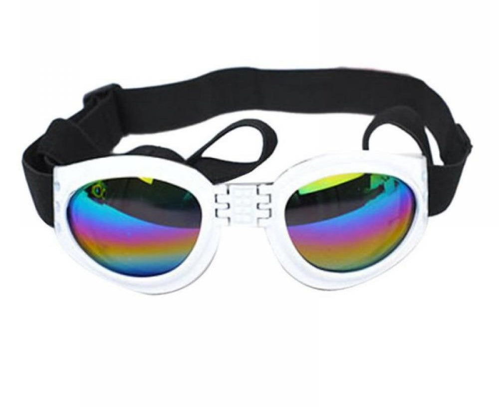 Pet Sunglasses