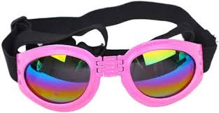 Pet Sunglasses
