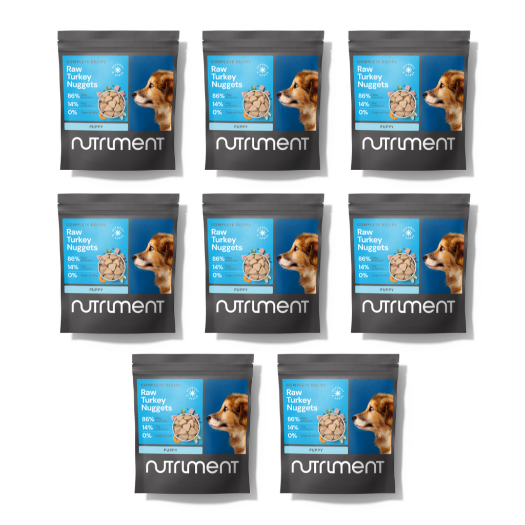 8kg Puppy Raw Nugget Starter Pack