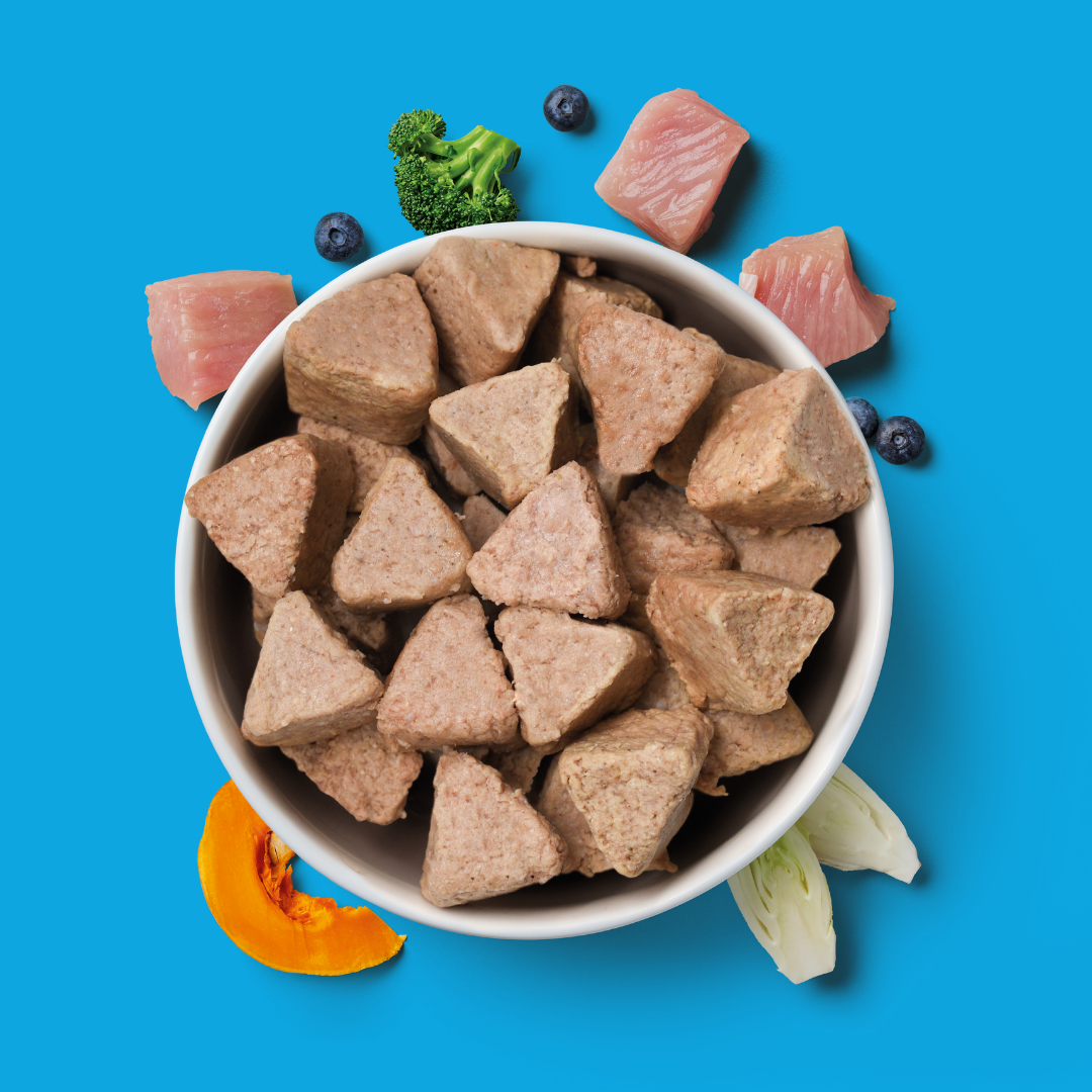 8kg Puppy Raw Nugget Starter Pack