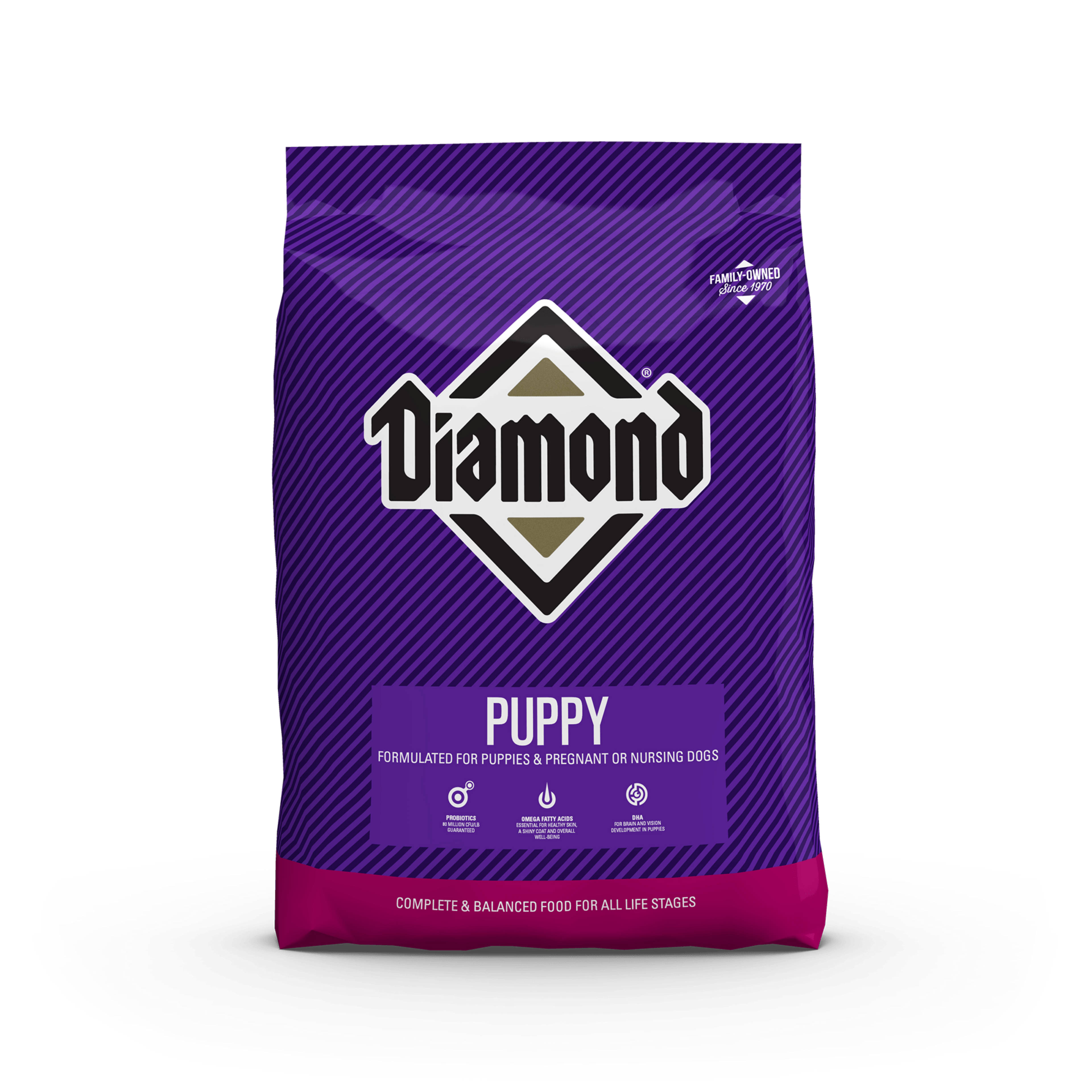 Diamond Puppy