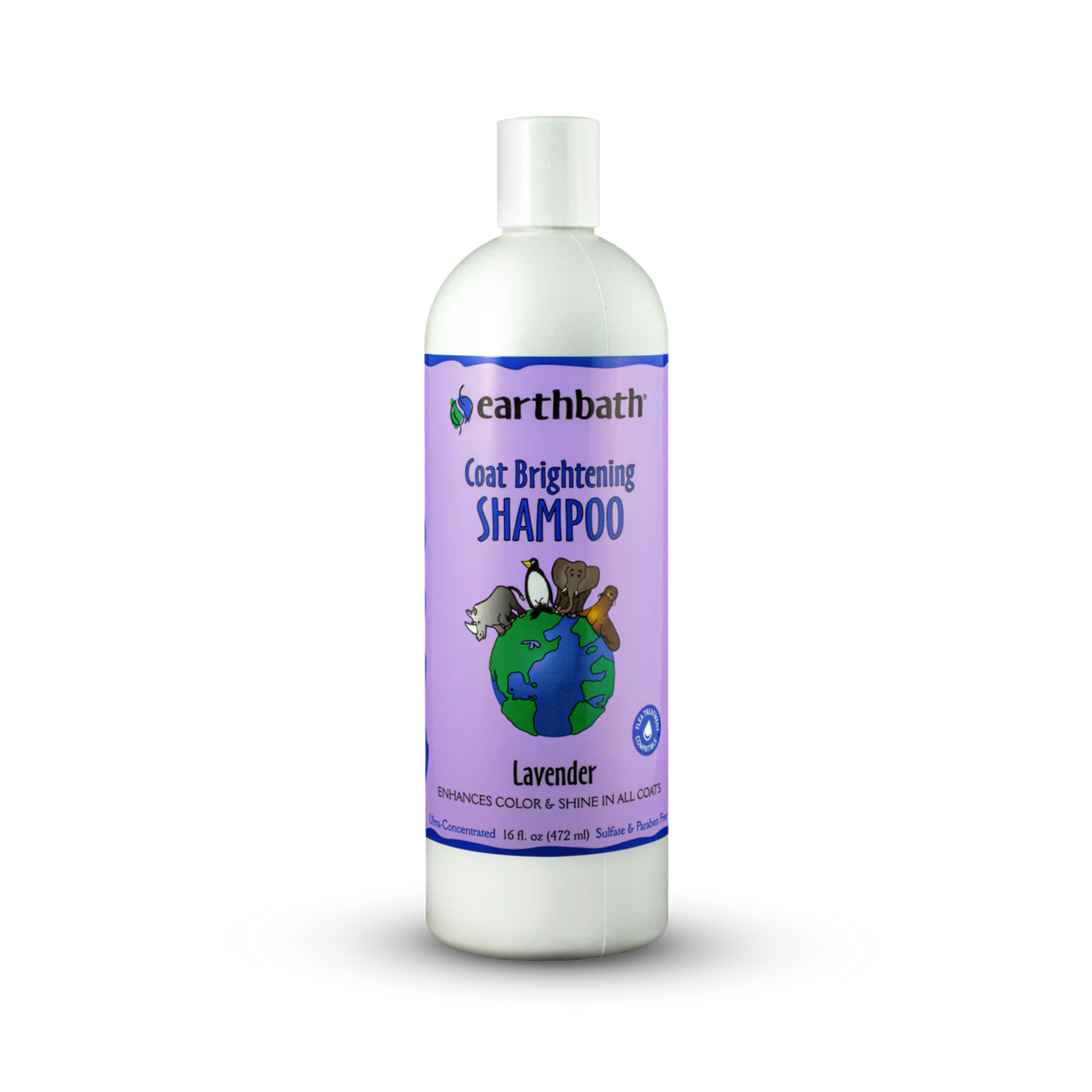 Earthbath Coat Brightening Shampoo: Lavender
