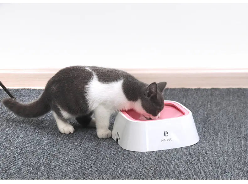 Pet Mealtime Duo