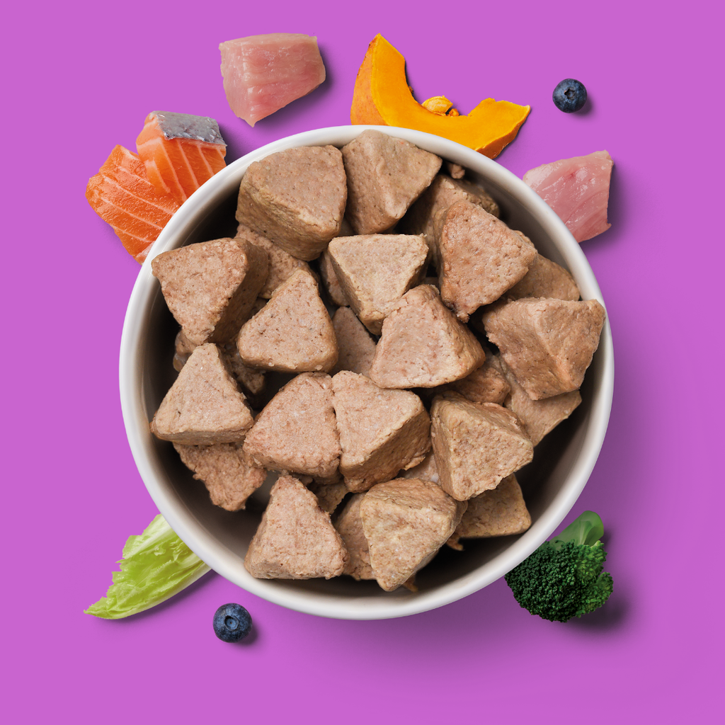 8kg Senior Raw Nugget Starter Pack