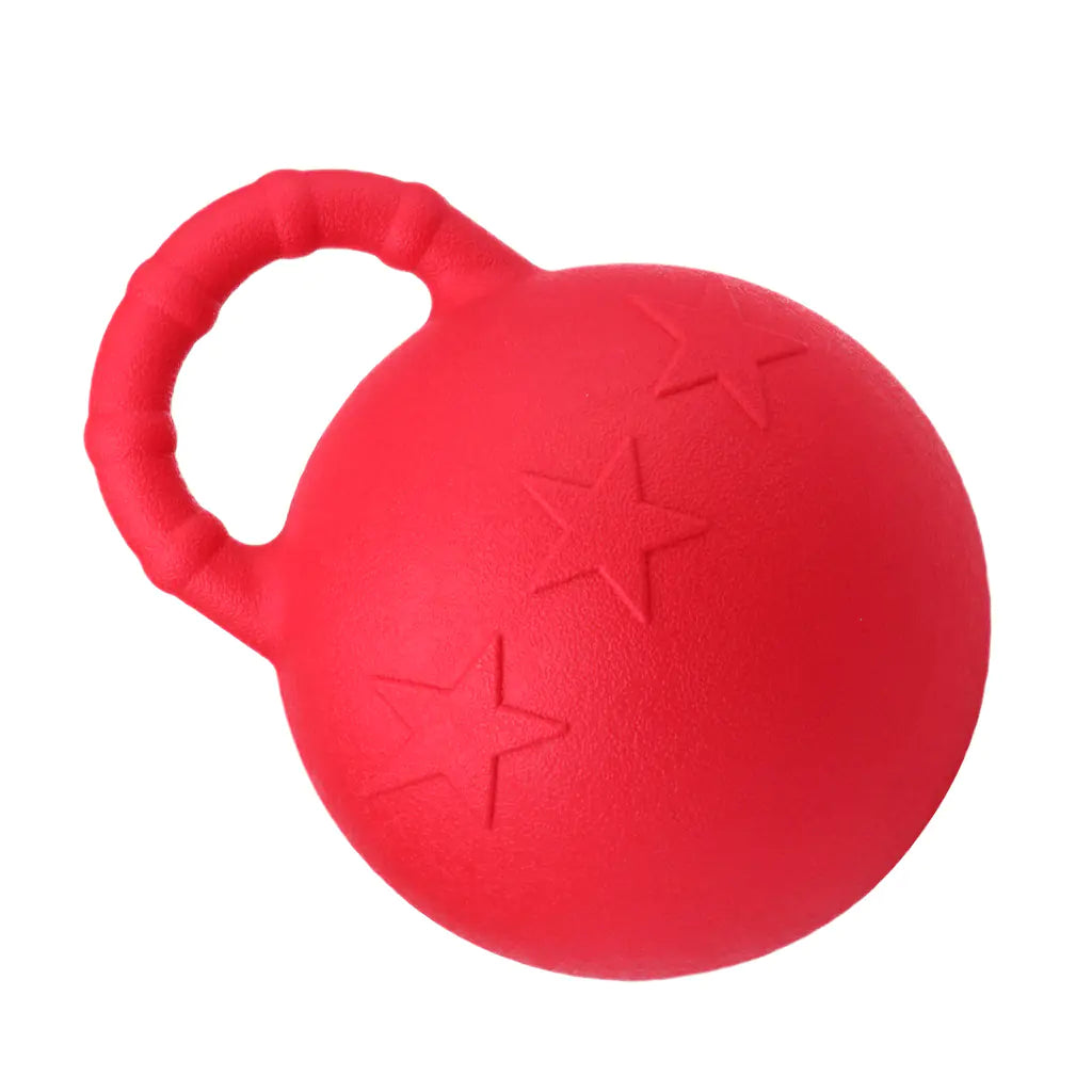 Resilient Play Horse Training Ball