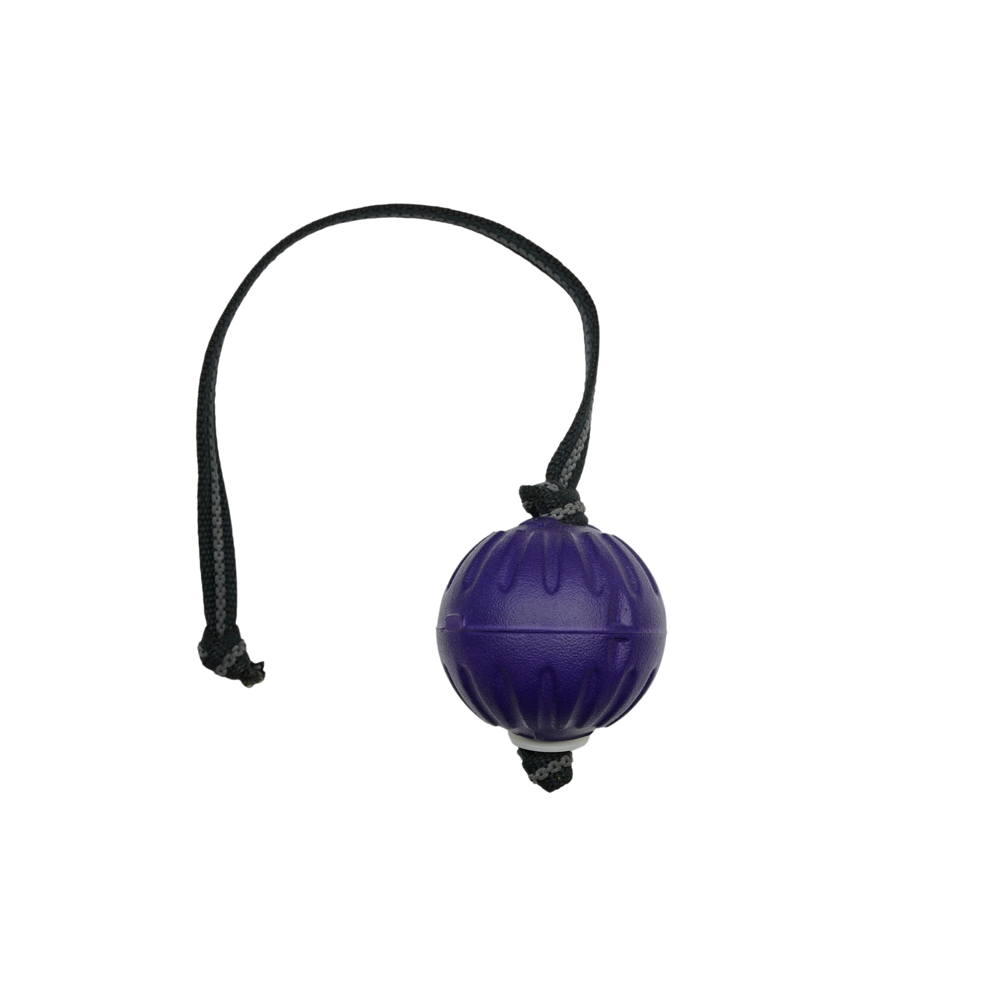 Starmark Fantastic Durafoam Ball With Sure Grip Handle