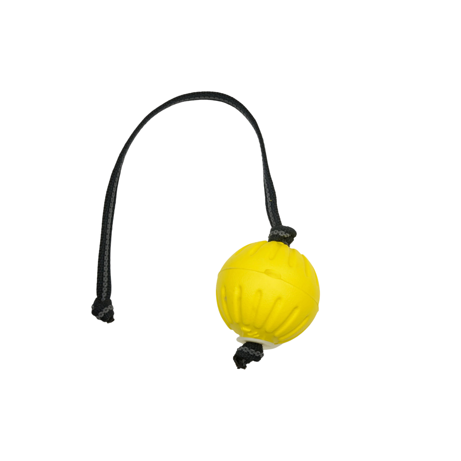 Starmark Fantastic Durafoam Ball With Sure Grip Handle