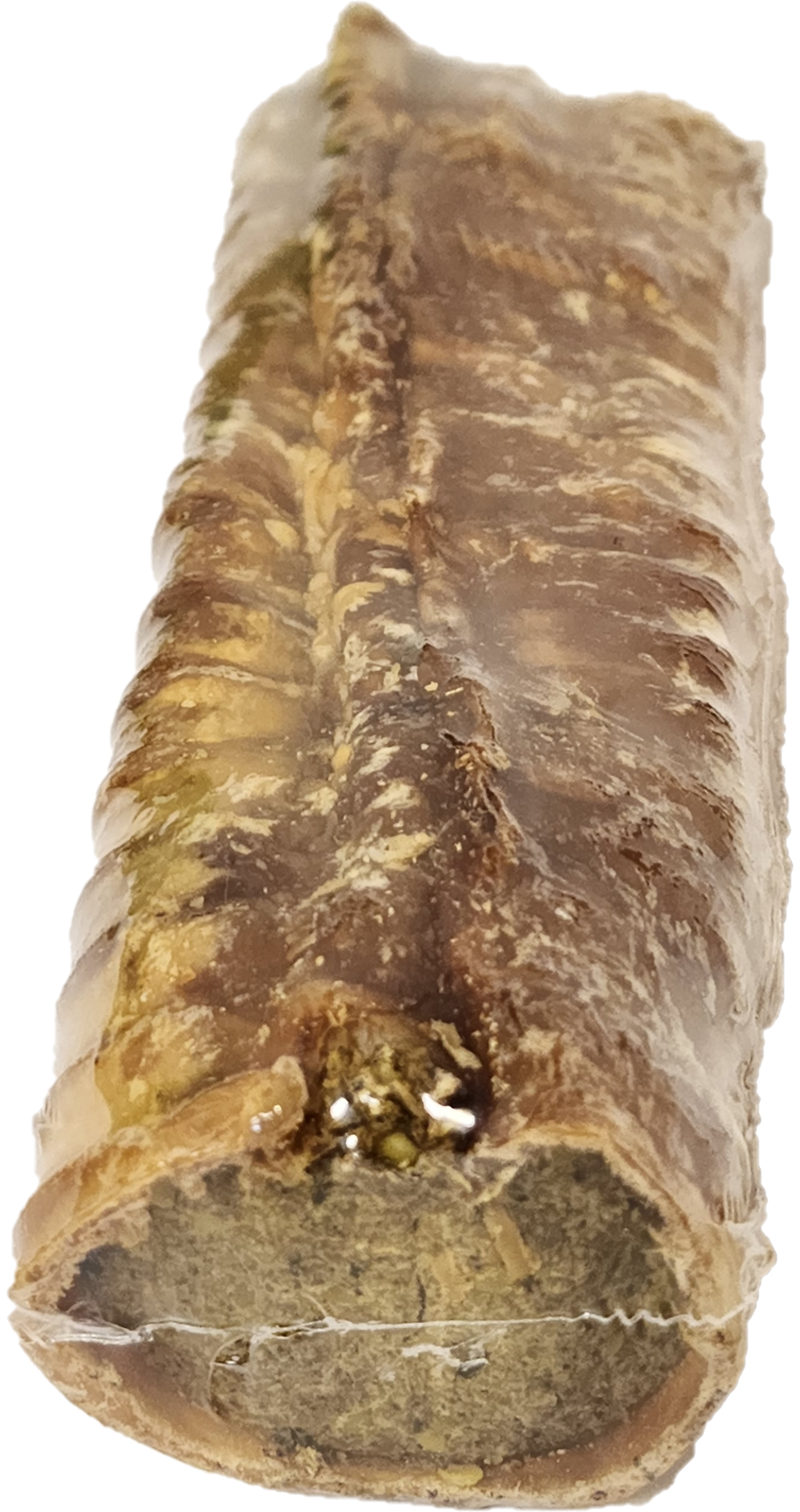 Super Fills Dog Chews – Stuffed Horn, Hoof, Trachea & Goat Horn | Long-Lasting, Natural, High-Protein Treat Variety