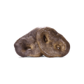 Vital Essentials Freeze-Dried Raw Bar Pig Snout Dog Treat