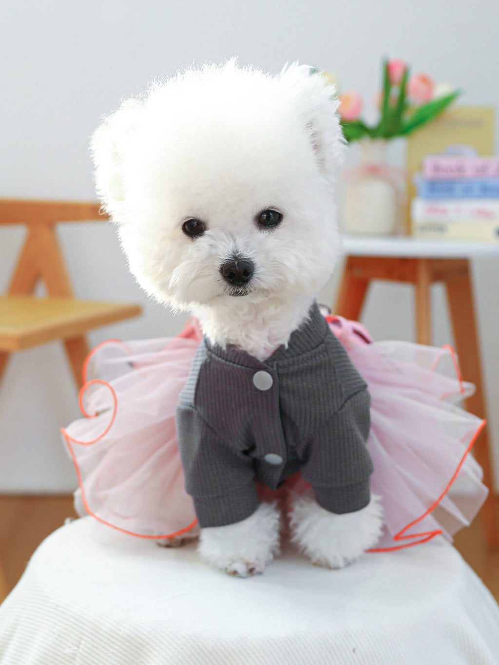 Bow Tutu Pet Dress
