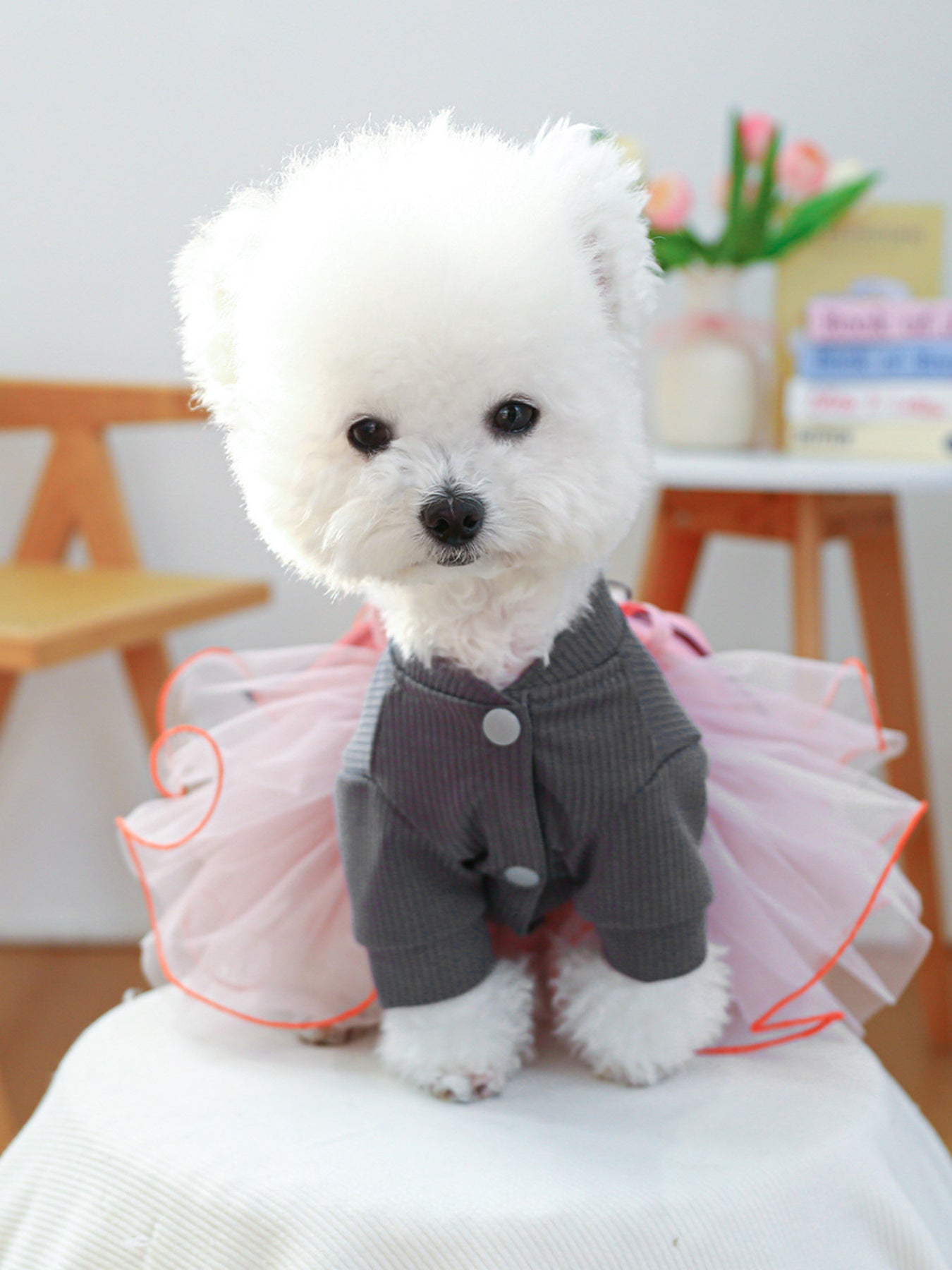 Bow Tutu Pet Dress