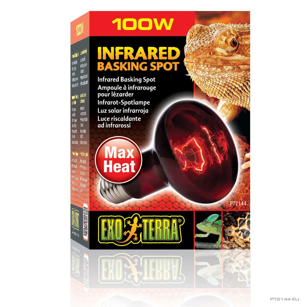 INFRARED BASKING SPOT