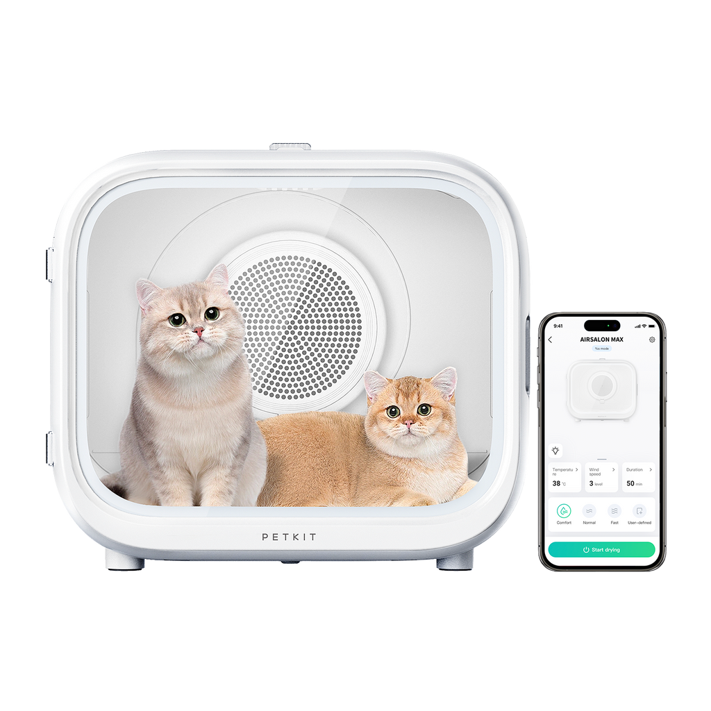 AirSalon Max