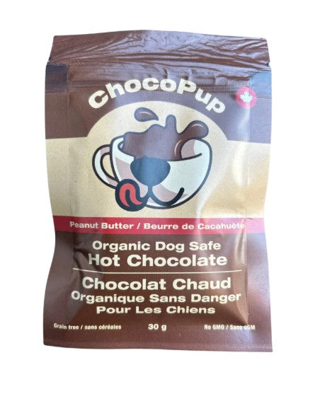 Dog Safe Hot Chocolate