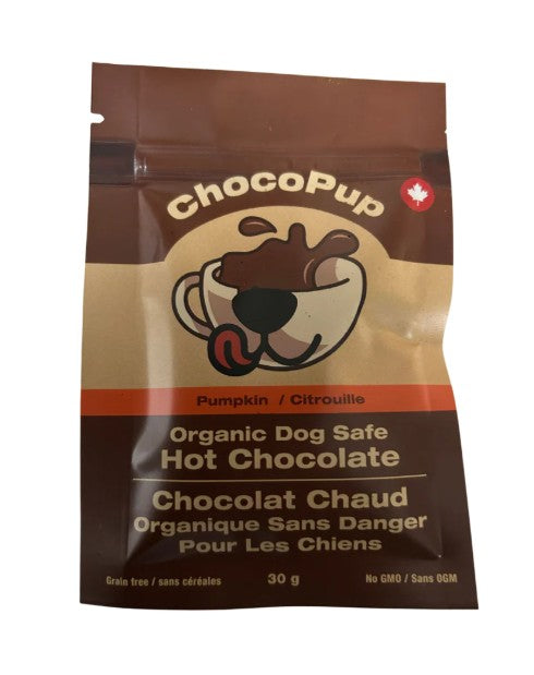 Dog Safe Hot Chocolate