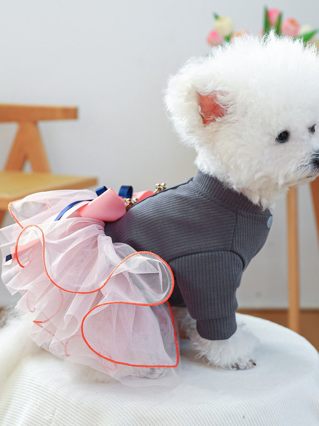 Bow Tutu Pet Dress