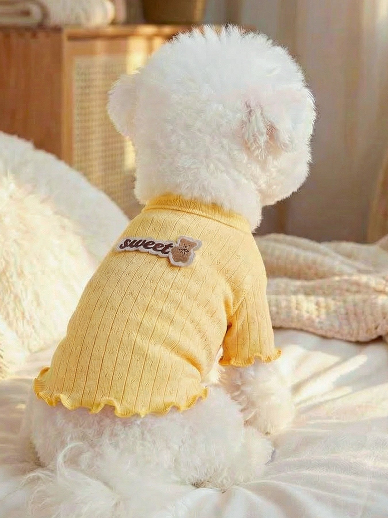 Sweet Bear Patch Ribbed Pet Top