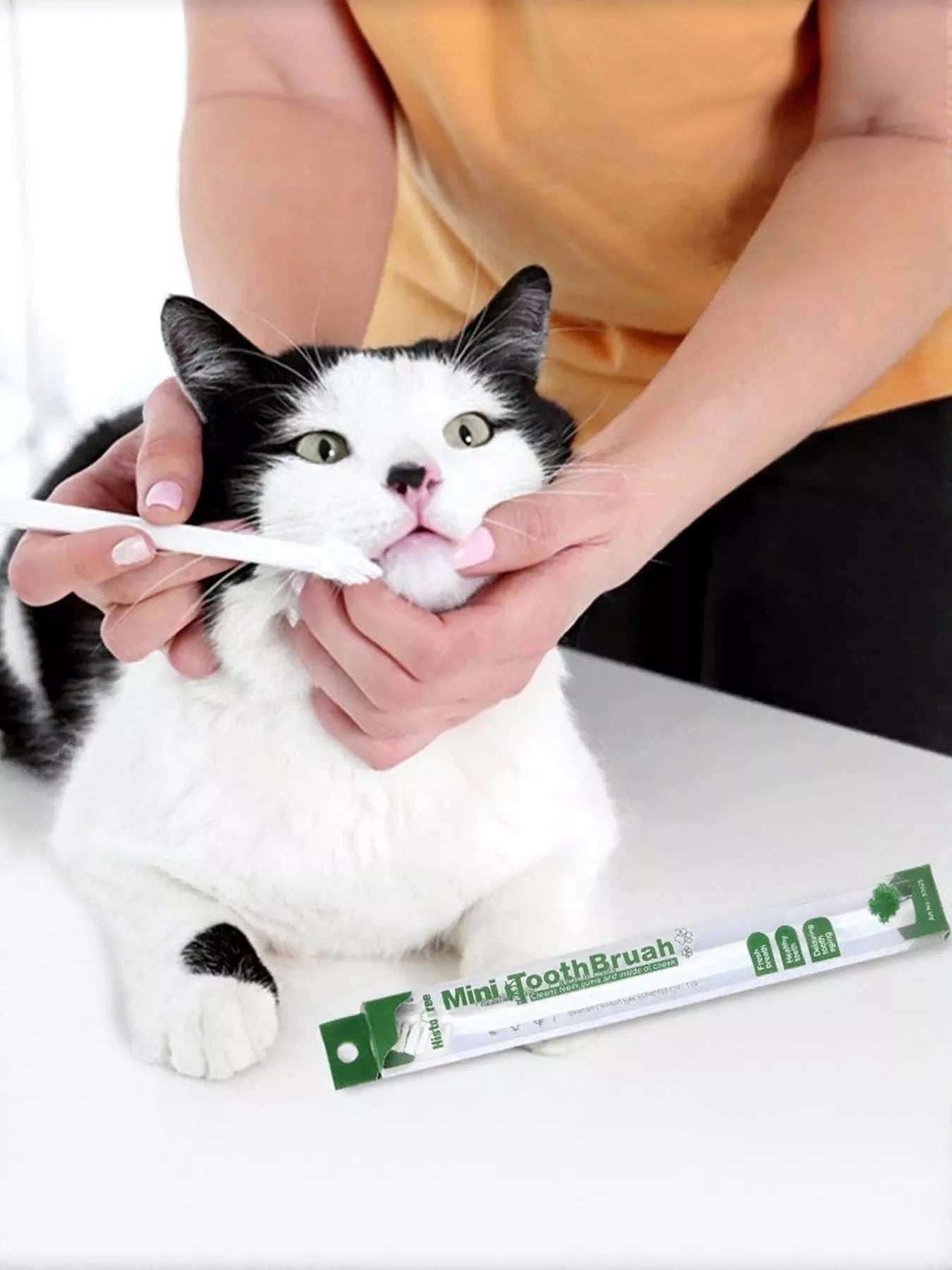 Plastic Pet Toothbrush