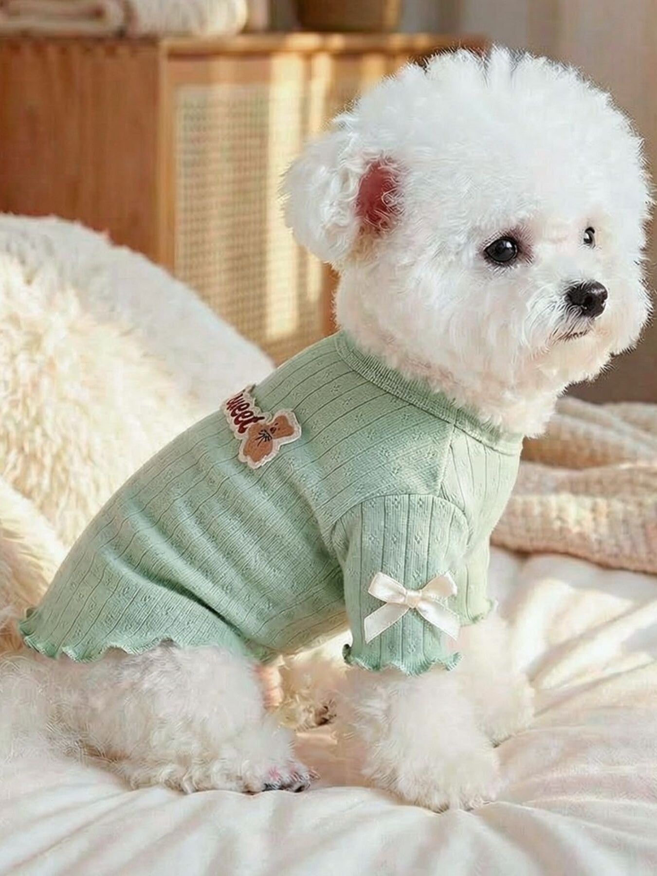 Sweet Bear Patch Ribbed Pet Top