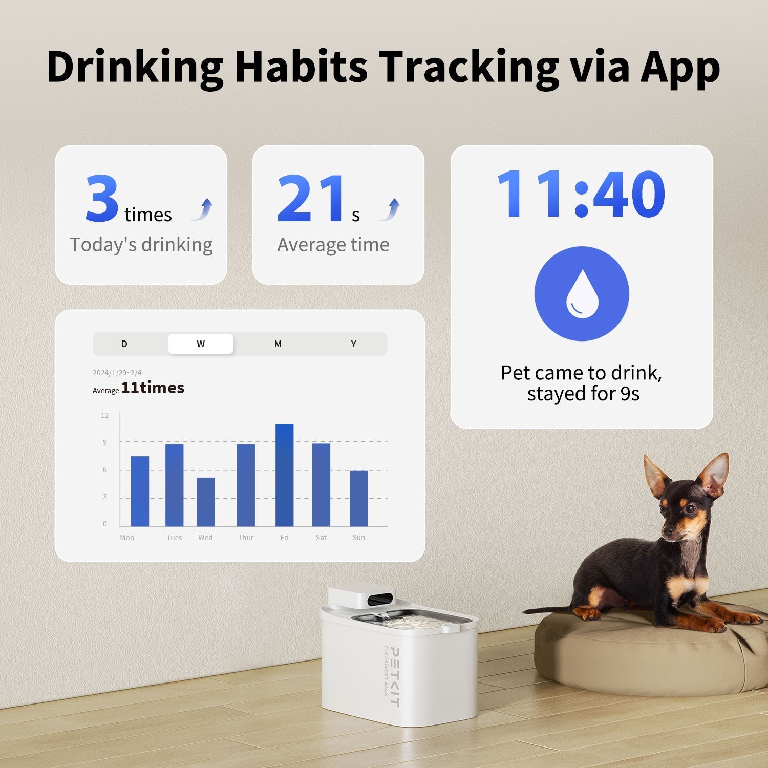 PETKIT Smart Essentials Bundle