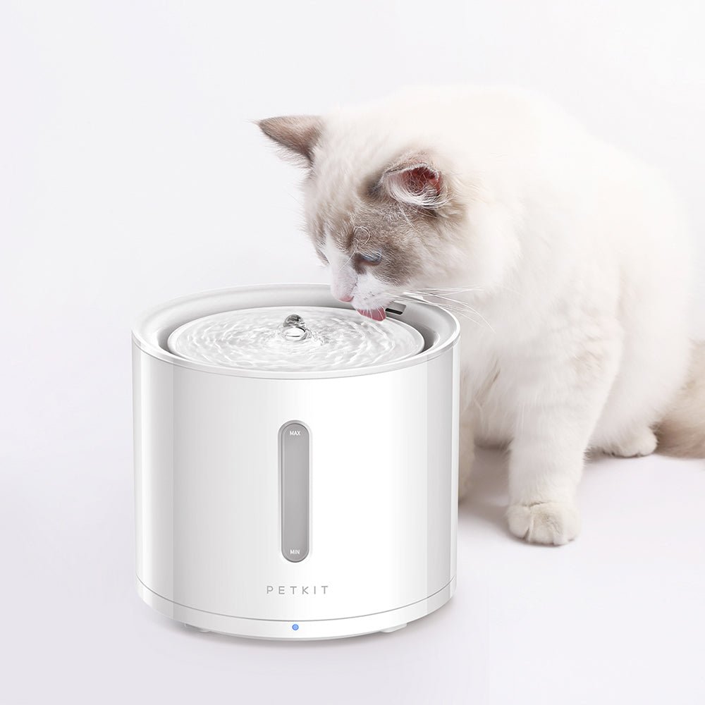 YumShare Dual-Hopper 2 & EverSweet Fountain