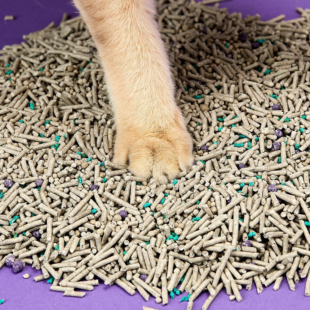 5-in-1 Mixed Cat Litter - 2 Bags