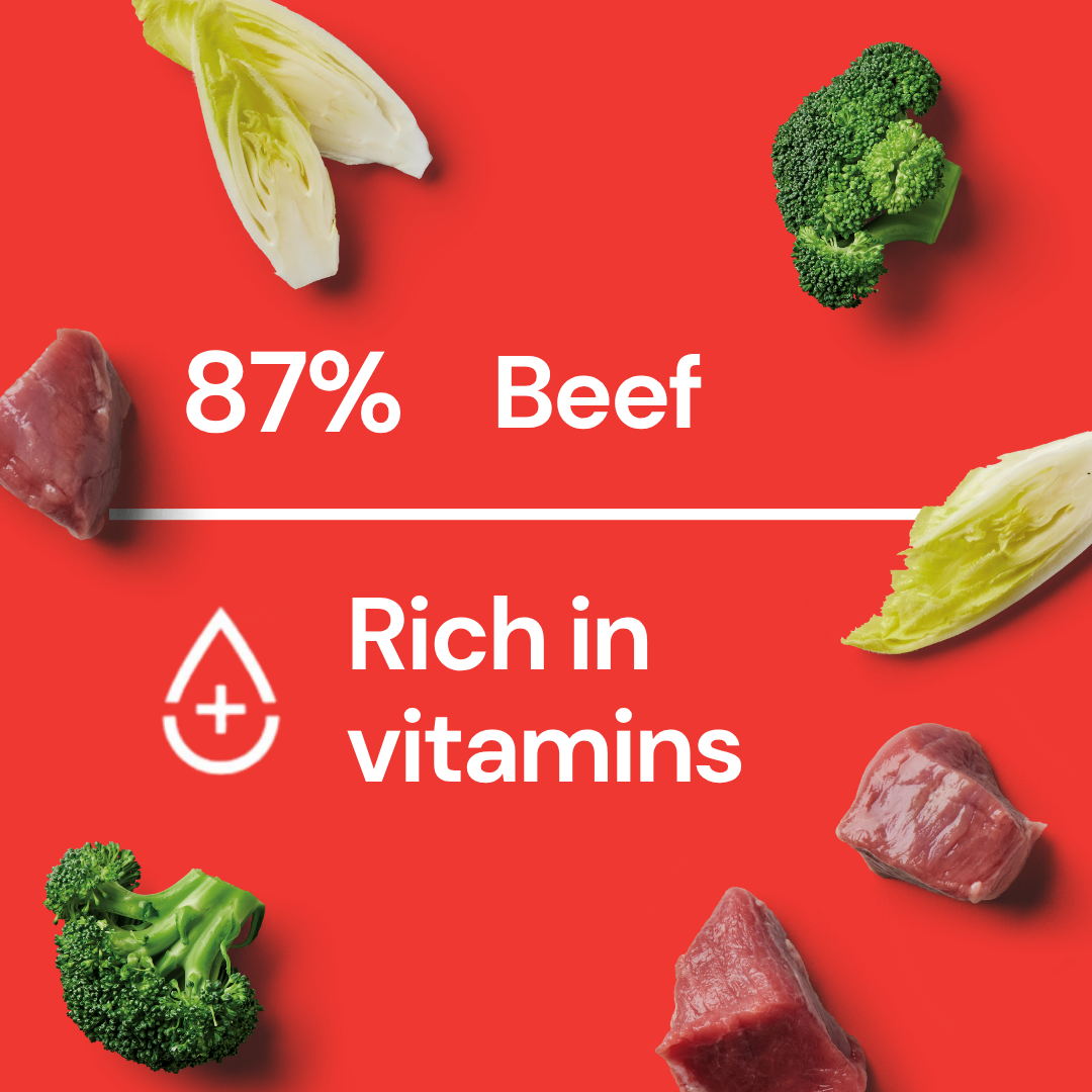 Fresh Medallions - Beef 800g