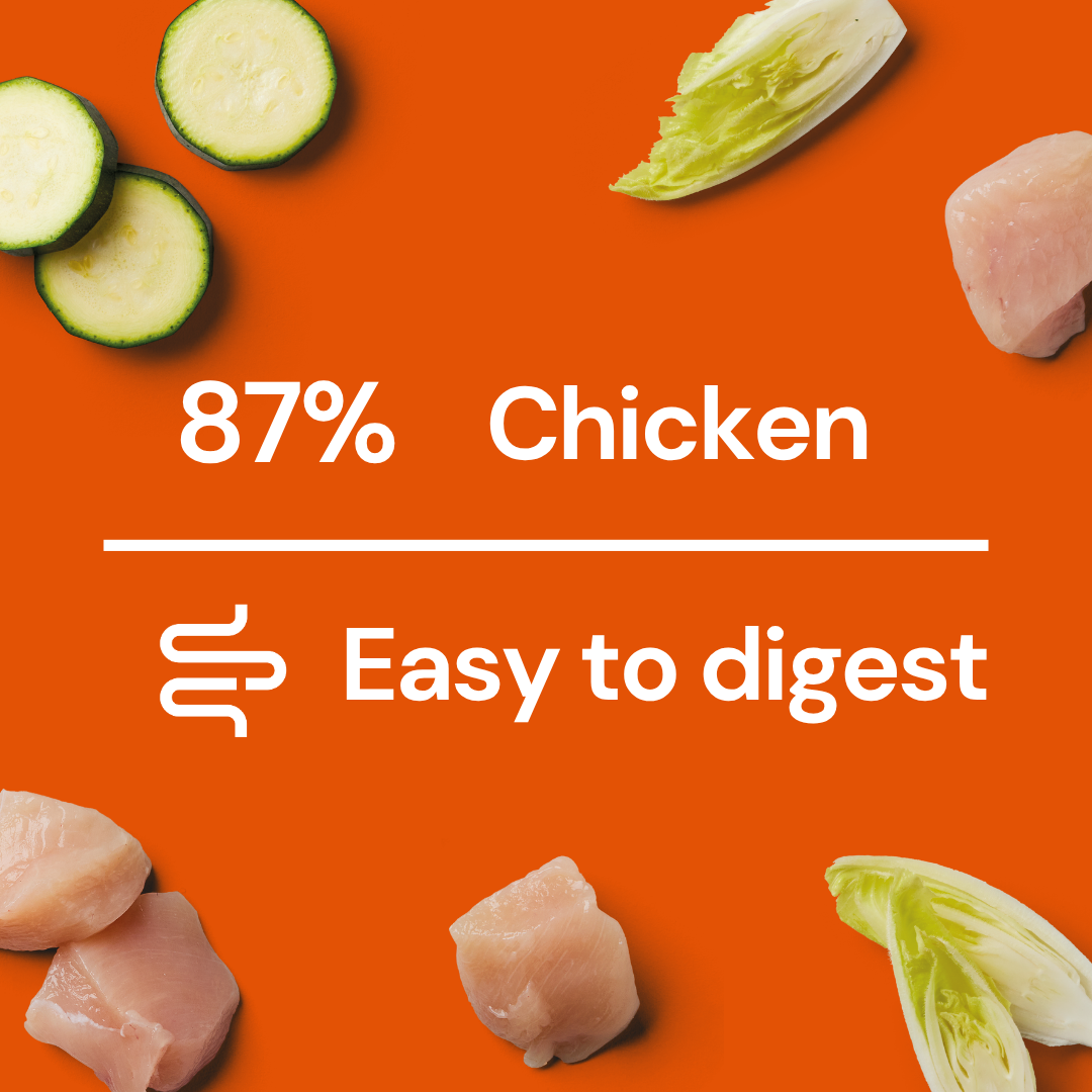 Fresh Medallions - Chicken 800g