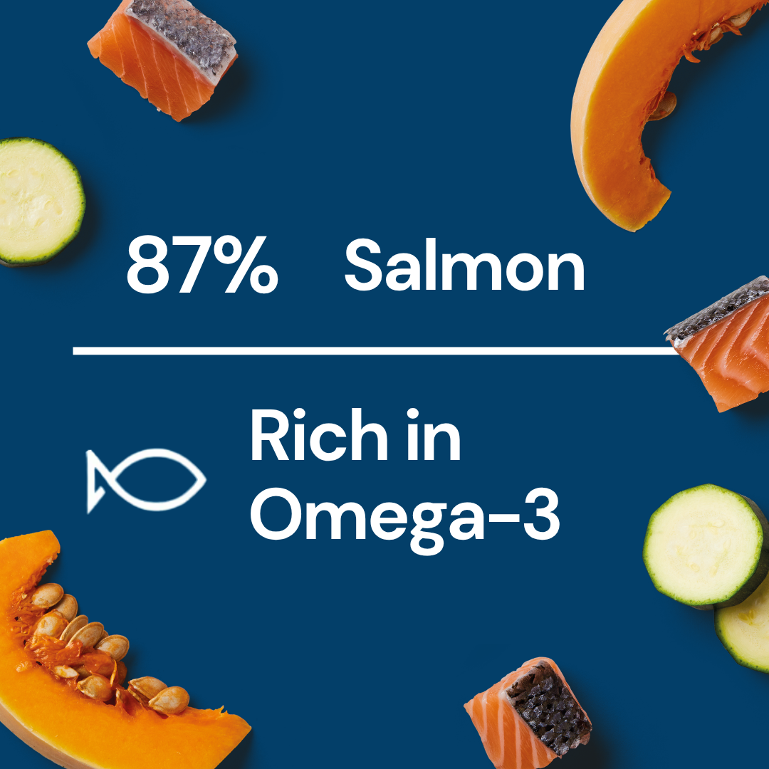 Fresh Medallions - Salmon 800g