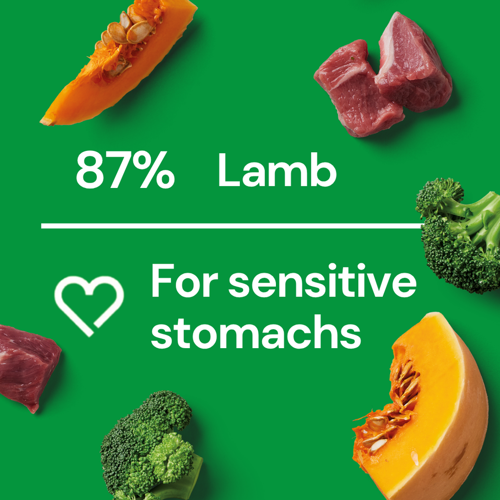 Fresh Medallions - Lamb 800g