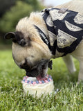 Gender Reveal Cake for Dogs